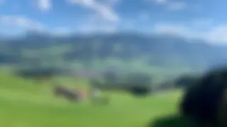 Direktzahlungen