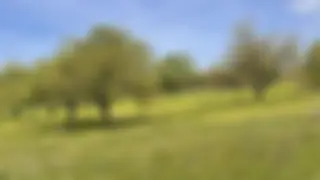 Biodiversitätsbeiträge