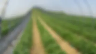 Produktionssystembeiträge