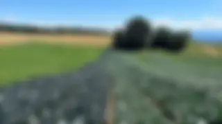 Ressourceneffizenzbeträge