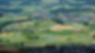 Beiträge für regionale Biodiversität und Landschaftsqualität (BrBL)